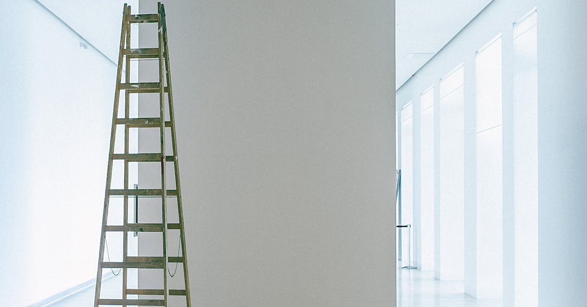 Does a sewer line belly need to be replaced?